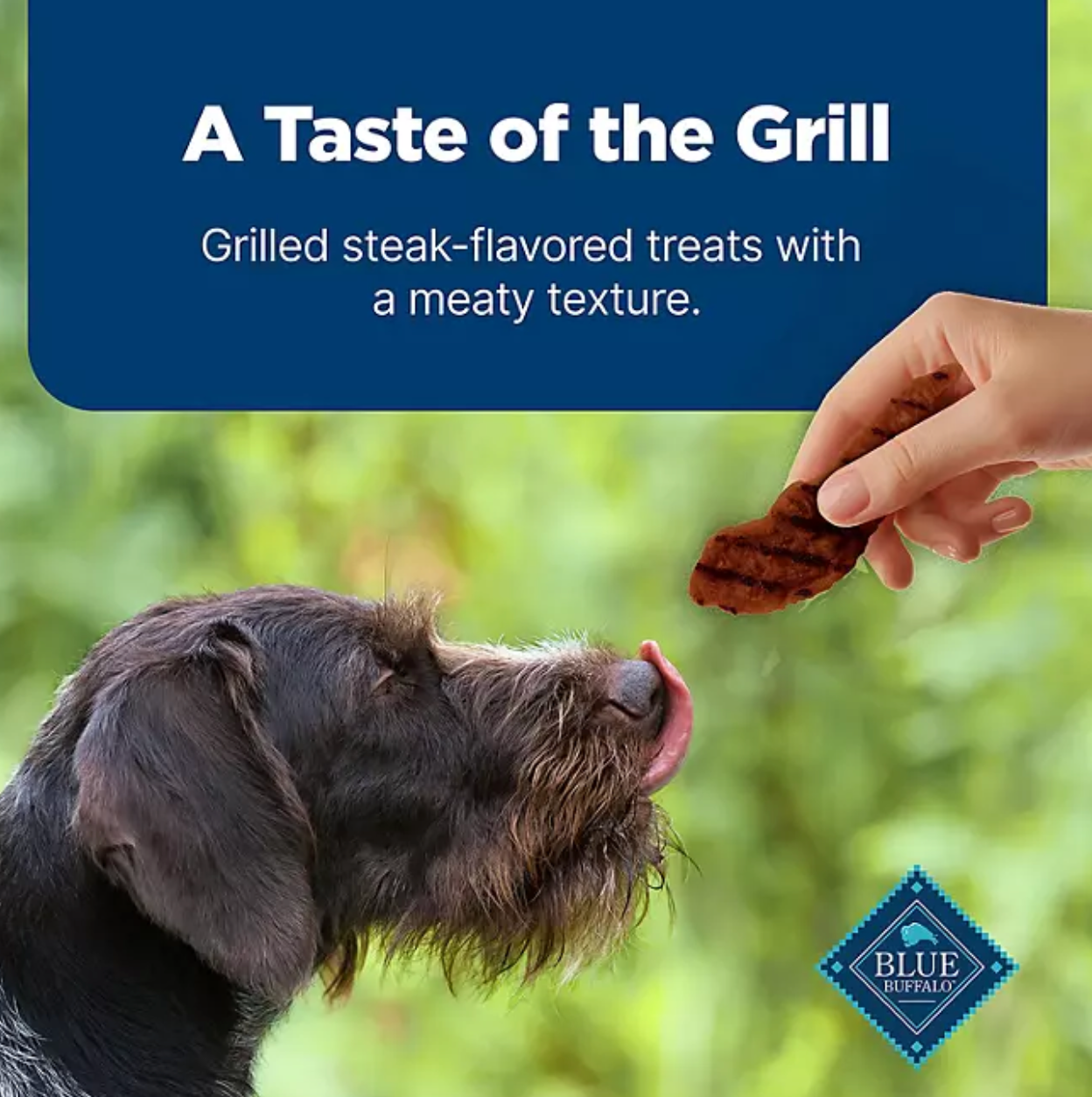 Blue Buffalo Nudges Grillers Steak Flavored Natural Dog Treats, 48 oz.