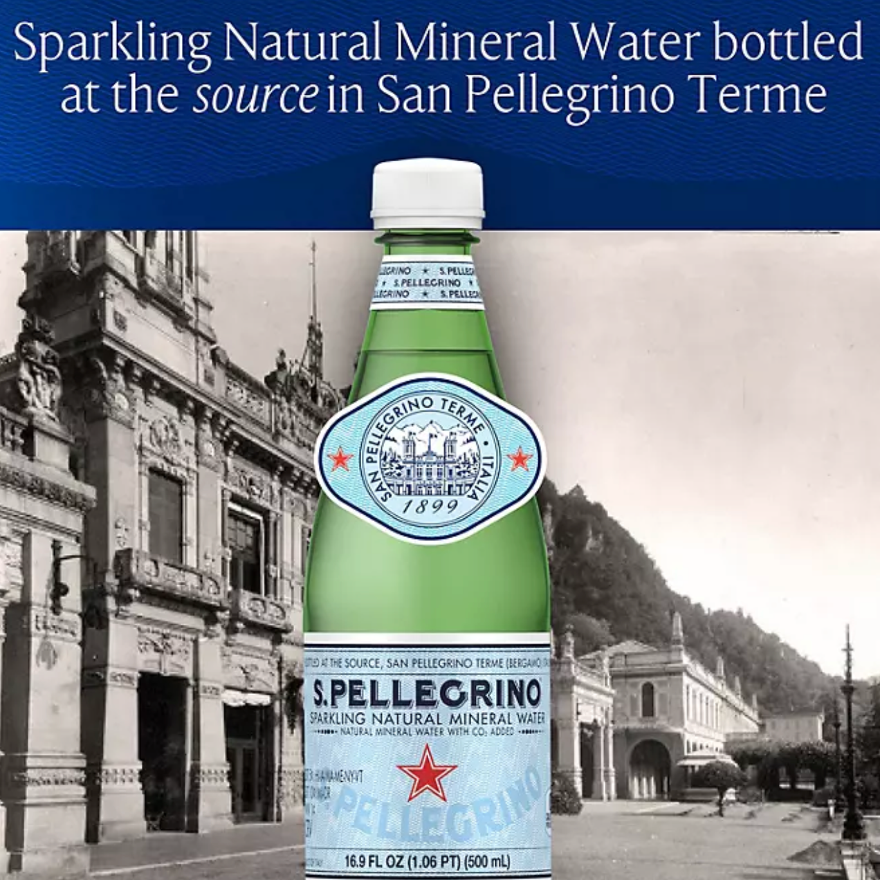 S.Pellegrino Sparkling Natural Mineral Water 16.9 fl. oz., 24 pk.