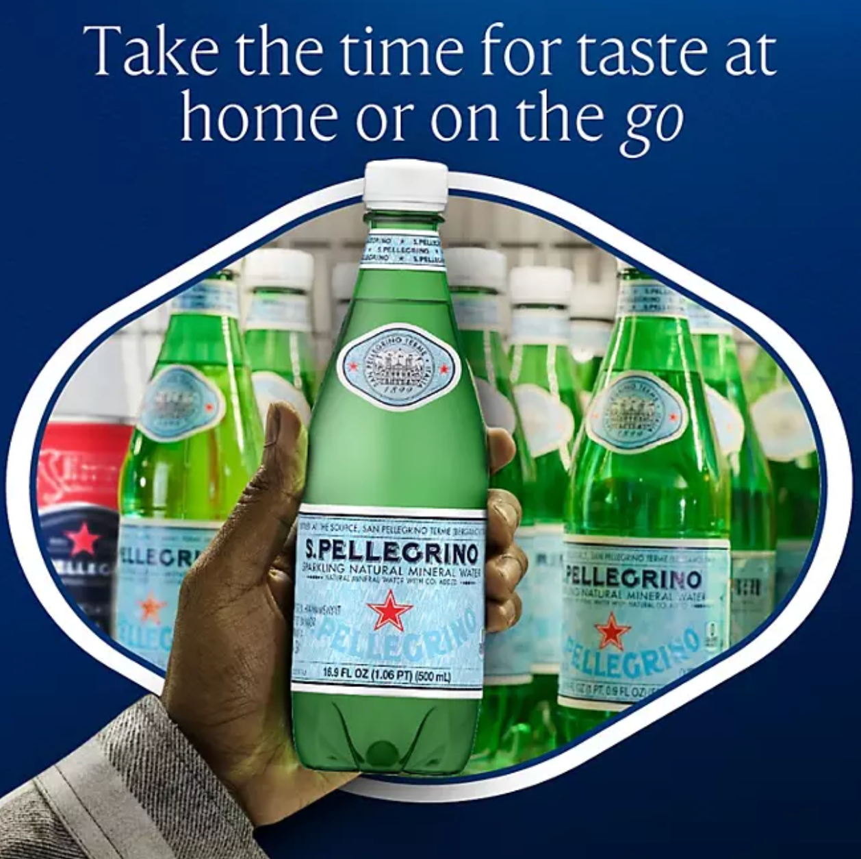 S.Pellegrino Sparkling Natural Mineral Water 16.9 fl. oz., 24 pk.