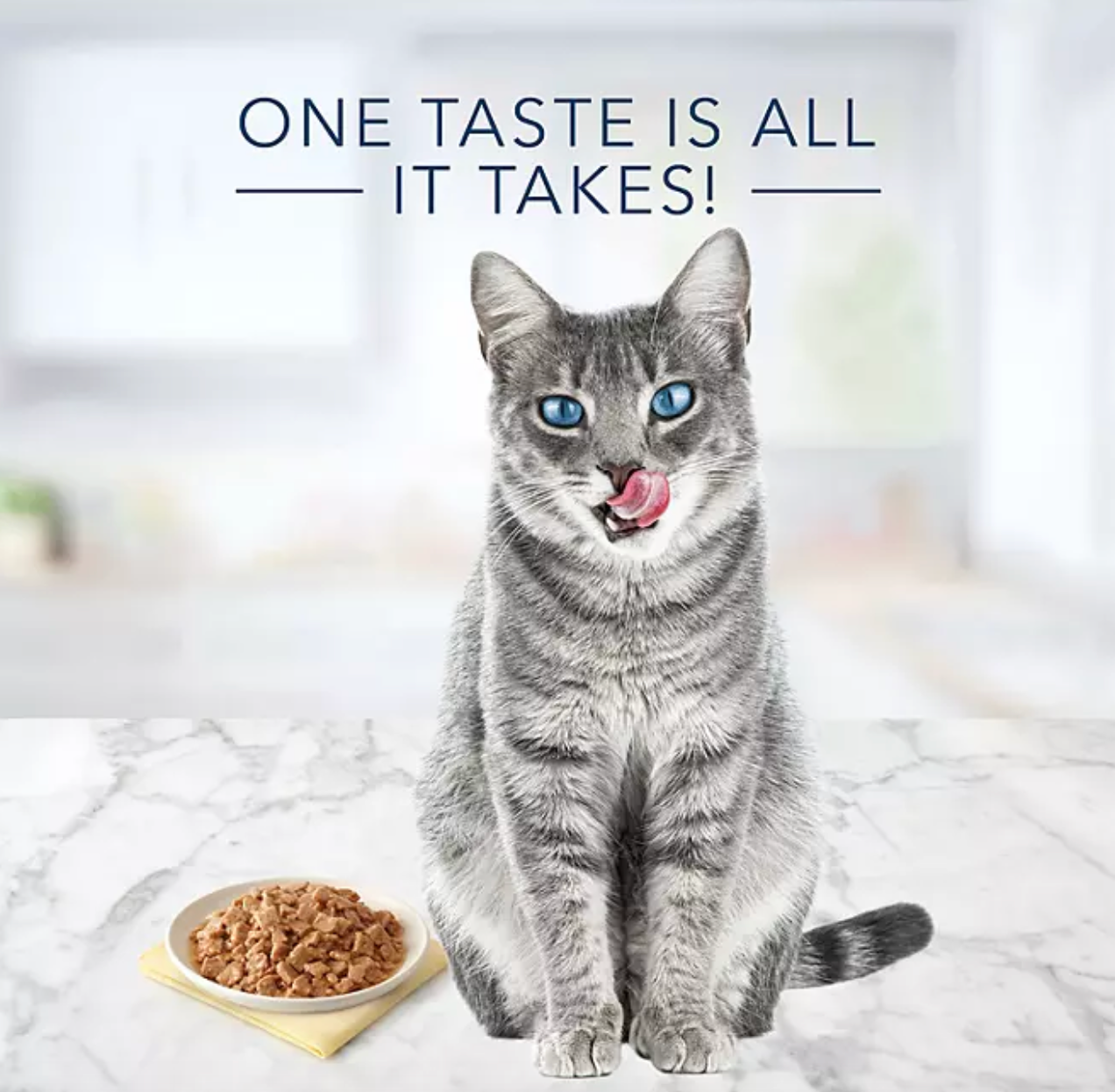 Blue Buffalo Tastefuls Pate Wet Cat Food, Variety Pack 5.5 oz., 32 ct.