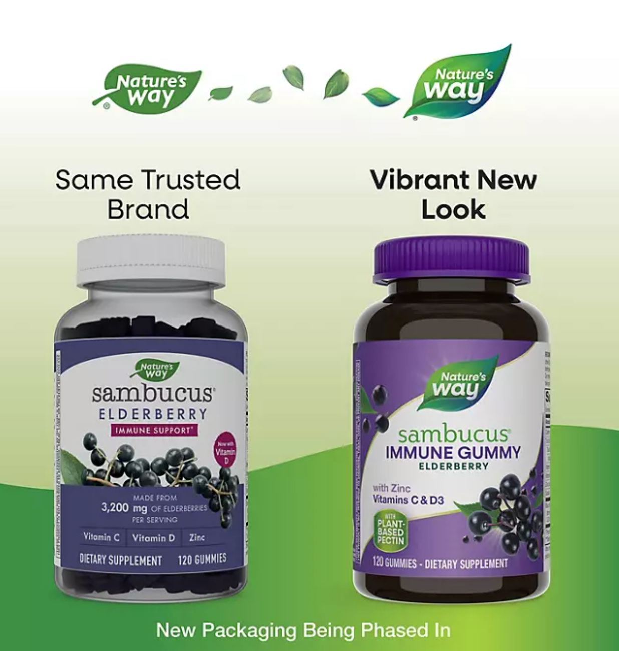 Nature’s Way Sambucus Immune Gummies, Elderberry, Vitamin C, Vitamin D3, Zinc, 120 ct.